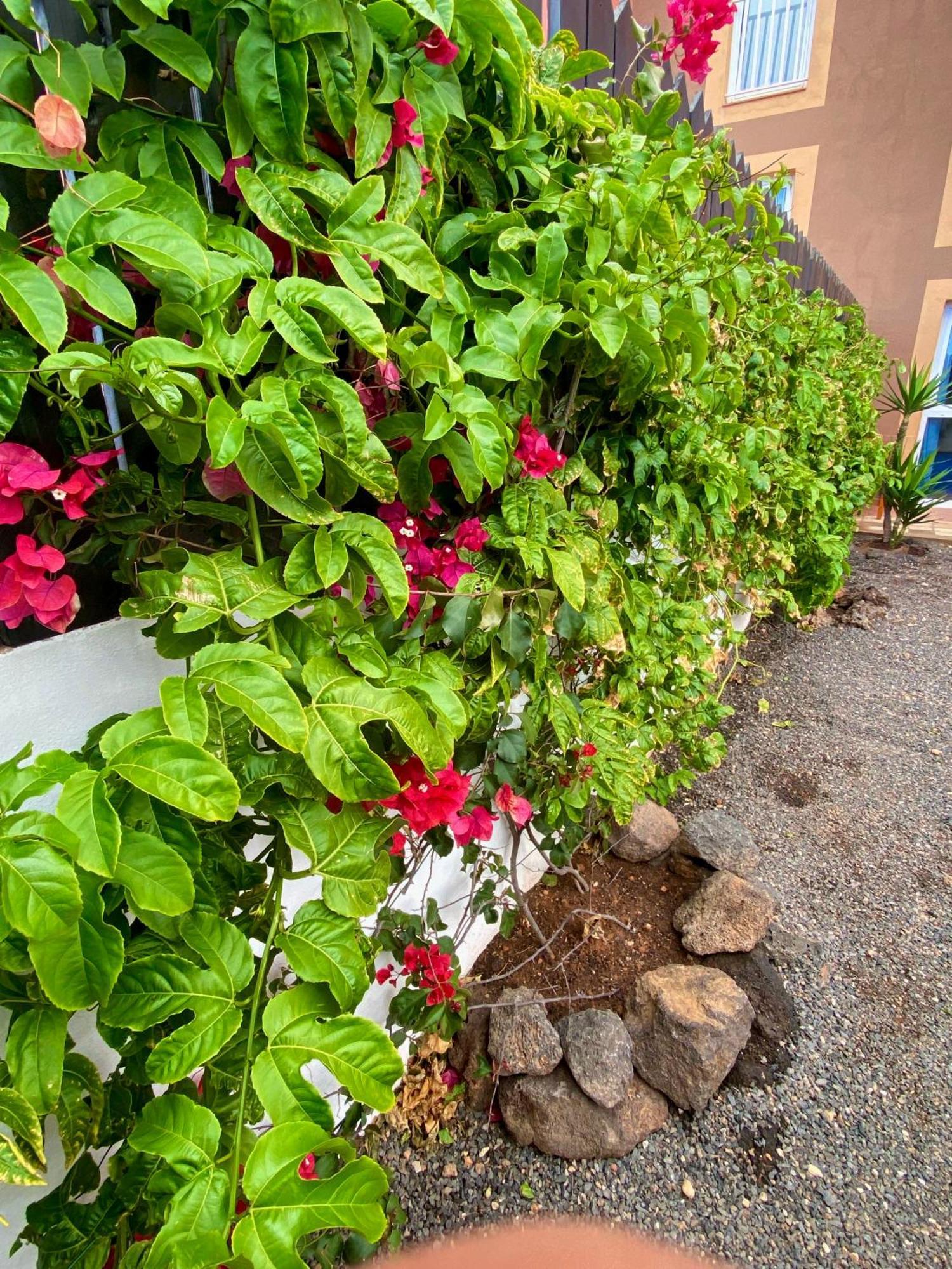 Blue Wave House Corralejo Daire La Oliva Dış mekan fotoğraf